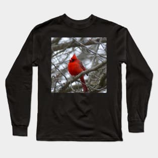 Winter Cardinal Photography Art Beautiful Heaven Sent Messenger Male Red Cardinal Long Sleeve T-Shirt